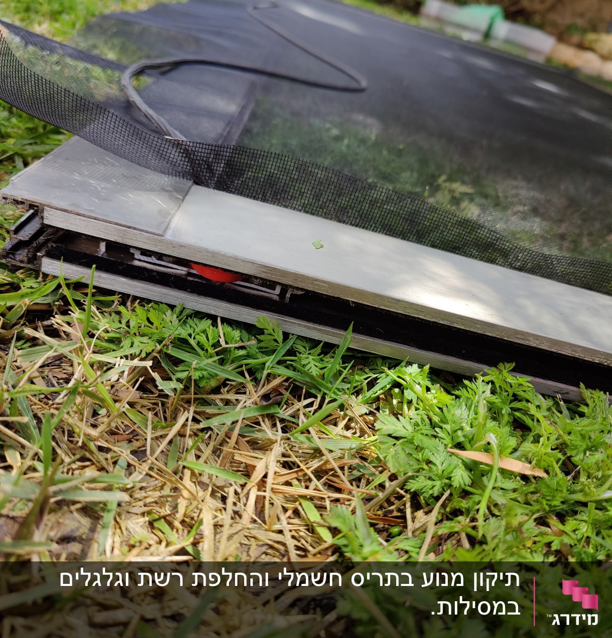 מסגרת תריס עם רשת מונחת על דשא